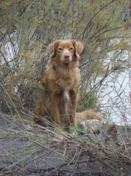Duscha