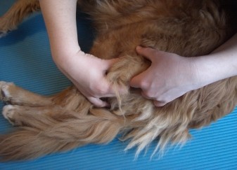 Massage
