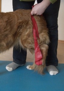 aktive Bewegungstherapie